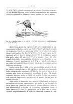 giornale/TO00014635/1912/unico/00000059