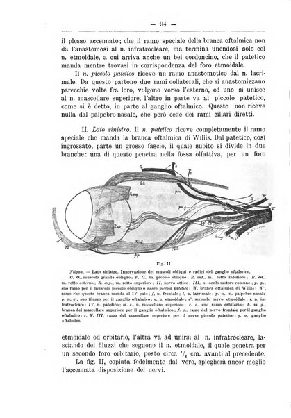 Monitore zoologico italiano