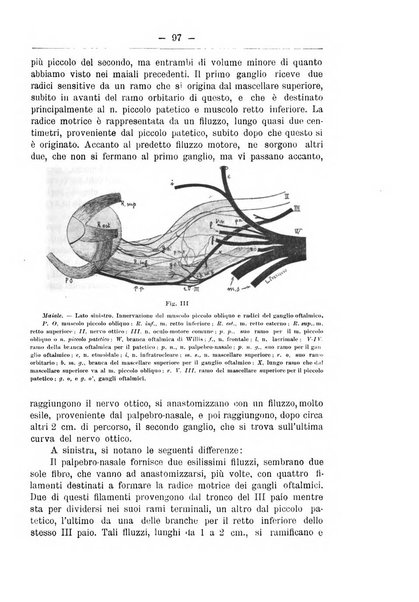 Monitore zoologico italiano