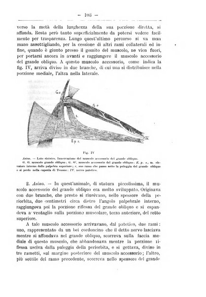 Monitore zoologico italiano