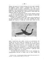 giornale/TO00014635/1912/unico/00000158