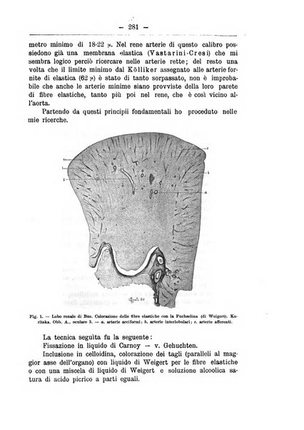 Monitore zoologico italiano