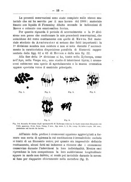 Monitore zoologico italiano