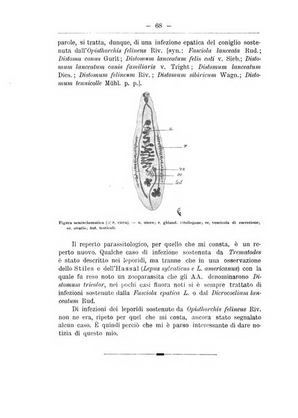 Monitore zoologico italiano