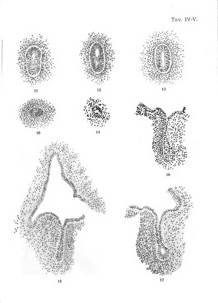 Monitore zoologico italiano