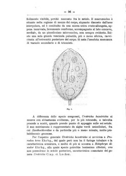 Monitore zoologico italiano