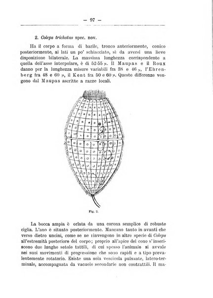 Monitore zoologico italiano