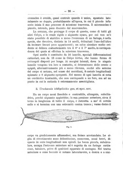 Monitore zoologico italiano