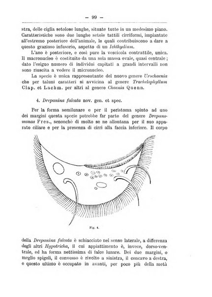 Monitore zoologico italiano