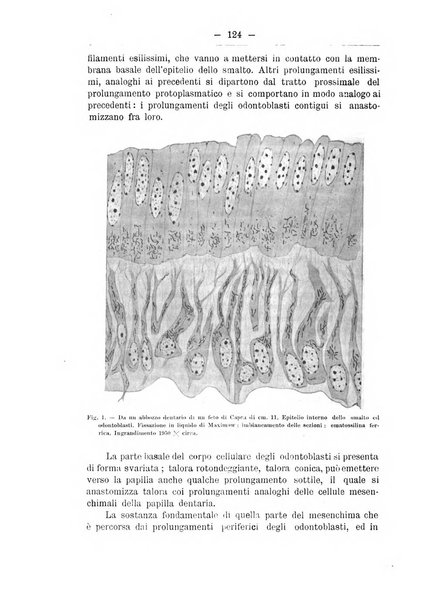 Monitore zoologico italiano