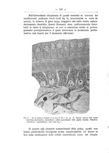 Monitore zoologico italiano