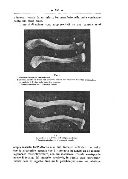 Monitore zoologico italiano