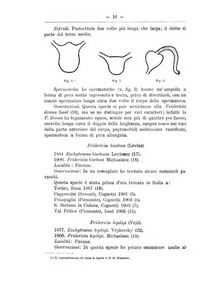 Monitore zoologico italiano