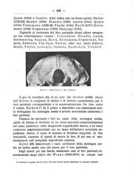 Monitore zoologico italiano