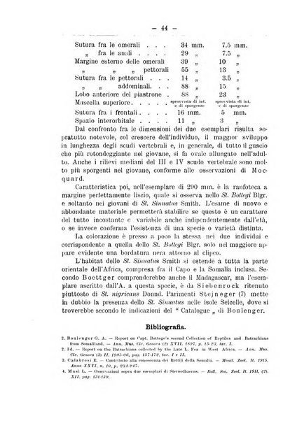 Monitore zoologico italiano