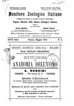 giornale/TO00014635/1916/unico/00000107