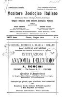 giornale/TO00014635/1916/unico/00000139