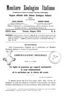 giornale/TO00014635/1916/unico/00000141