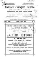 giornale/TO00014635/1916/unico/00000165