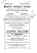 giornale/TO00014635/1916/unico/00000265