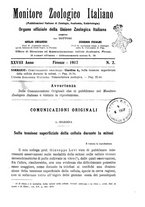 giornale/TO00014635/1917/unico/00000045