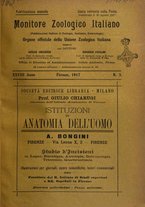 giornale/TO00014635/1917/unico/00000067