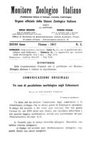 giornale/TO00014635/1917/unico/00000069