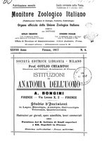 giornale/TO00014635/1917/unico/00000115