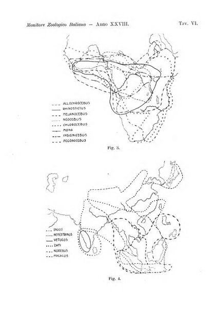 Monitore zoologico italiano