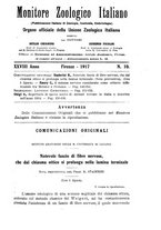 giornale/TO00014635/1917/unico/00000207