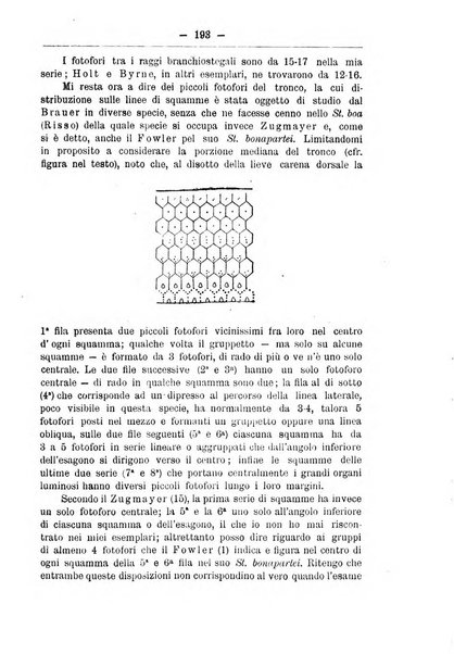 Monitore zoologico italiano