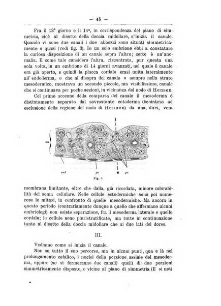 Monitore zoologico italiano