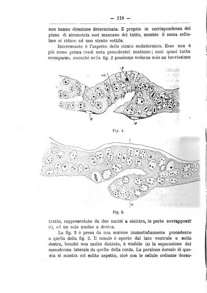 Monitore zoologico italiano