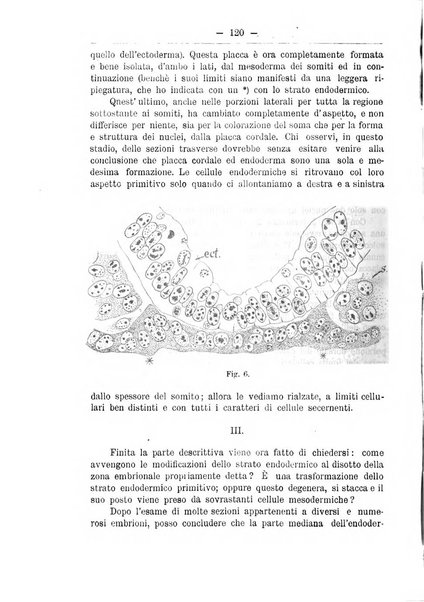 Monitore zoologico italiano