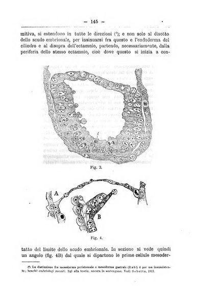 Monitore zoologico italiano