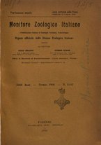 giornale/TO00014635/1918/unico/00000199