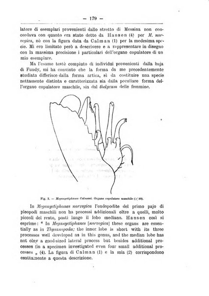 Monitore zoologico italiano