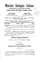 giornale/TO00014635/1919/unico/00000049