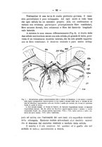 giornale/TO00014635/1919/unico/00000086