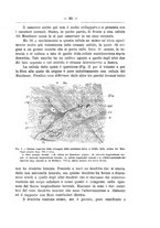 giornale/TO00014635/1919/unico/00000087