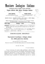 giornale/TO00014635/1919/unico/00000193