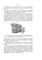 giornale/TO00014635/1919/unico/00000229