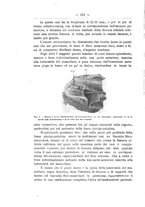 giornale/TO00014635/1919/unico/00000230