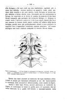 giornale/TO00014635/1920/unico/00000117