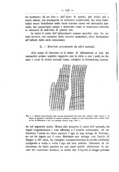 Monitore zoologico italiano