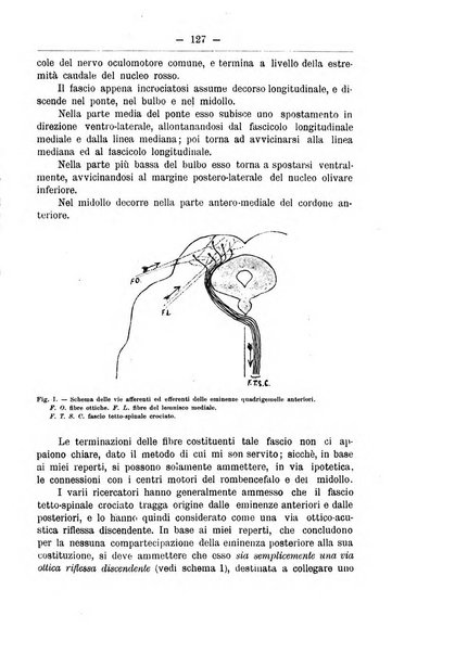 Monitore zoologico italiano