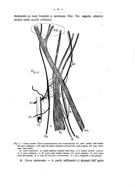 Monitore zoologico italiano