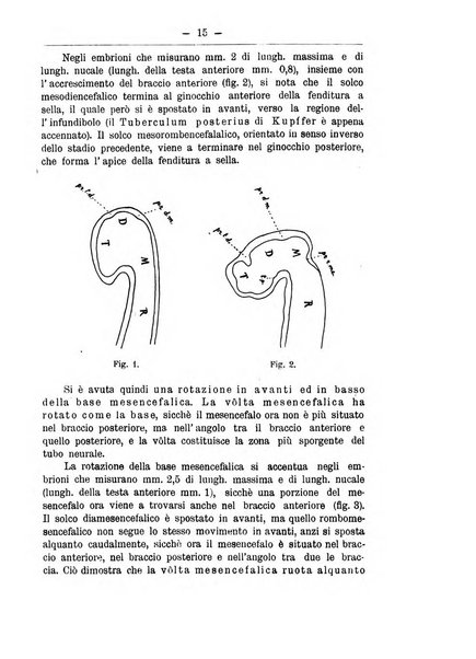 Monitore zoologico italiano