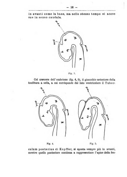 Monitore zoologico italiano