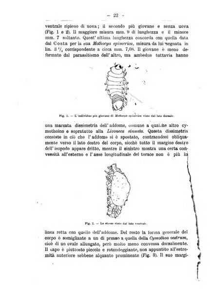 Monitore zoologico italiano